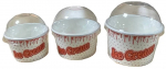 5oz Printed Ice Cream Cups Pack of 200