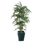 Natural Bamboo 1500mm Height: 5ft