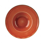 Stonecast Round Wide Rim Bowls Spiced Orange 239mm (Pack 12)