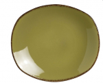 Terramesa Olive Plate Spice 25.5cm 10" Pack 24