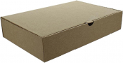 Large Fish & Chips Brown (Box of 100)