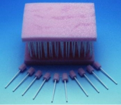 Polygon Oral Foam Swabs x 250