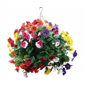 22inch Mixed Colours Pansy Ball
