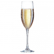 Cabernet Tulip Champagne Flutes 240ml (24 Pack)