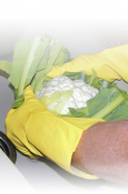 Extra Long Rubber Gloves - Me Medium -pack of 12