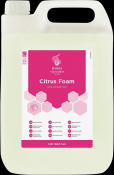 Evans Citrus Foam Hand Soap A181EEV2 - 1 x 5L