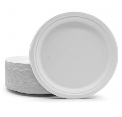 Disposable Plates & Bowls