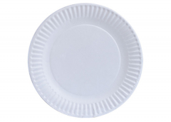 Disposable Plates & Bowls