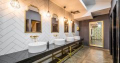 Pub/Bar Toilets