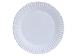 Disposable Plates & Bowls