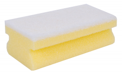 Sponges