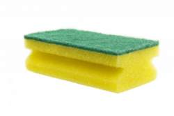 Sponges with Scourers