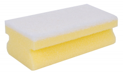 Sponges & Scourers